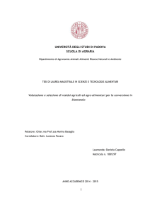 1 UNIVERSITÀ DEGLI STUDI DI PADOVA SCUOLA DI AGRARIA