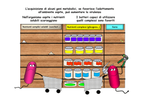 Nell`organismo ospite i nutrienti solubili scarseggiano I batteri