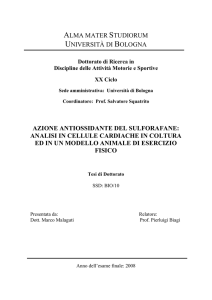 1.6 Esercizio fisico e produzione di ROS/RNS