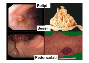 Intestino 2