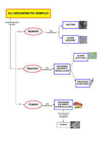 gli organismi più semplici