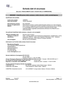 Scheda dati di sicurezza - Thermo Fisher Scientific