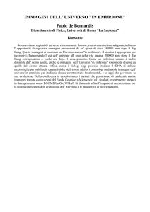 IMMAGINI DELL` UNIVERSO "IN EMBRIONE" Paolo de Bernardis