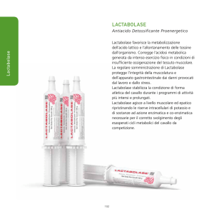 lactabolase - acme drugs