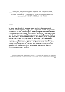 Lo strato superiore della crosta terrestre costituito da componenti