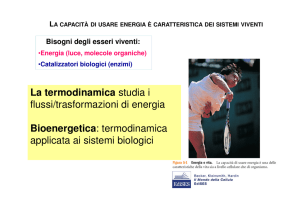 (Microsoft PowerPoint - Bioenergetica [modalit\340 compatibilit\340])