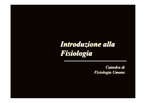 Lavoro Muscolare