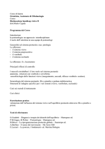 Il programma del corso
