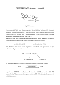 METOTREXATO: sicurezza e tossicità