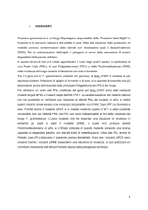 Documento PDF