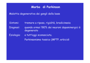Morbo di Parkinson - Fisiokinesiterapia
