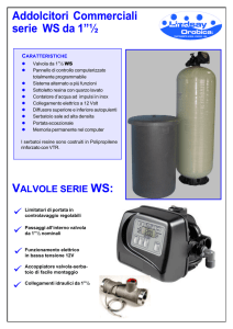 Addolcitori Commerciali serie WS da 1”½