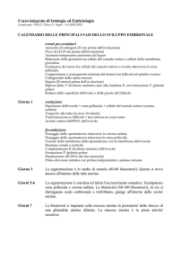 Materiale didattico - Embriologia
