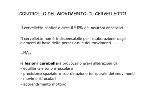 Presentazione di PowerPoint