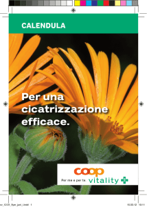 Version PDF da scaricare
