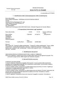 solfato di rame - bentegodi stefani