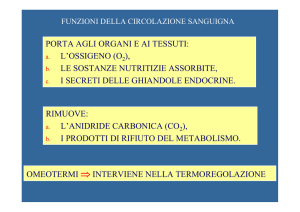 PORTA AGLI ORGANI E AI TESSUTI: L`OSSIGENO (O ), LE