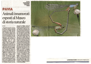 La Provincia Pavese 13_02_2013