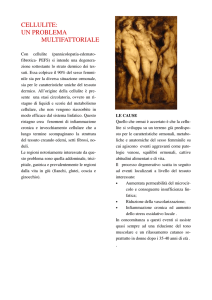Leggi l`articolo su cellulite - Dott. Uliano, Nutrizionista a Roma