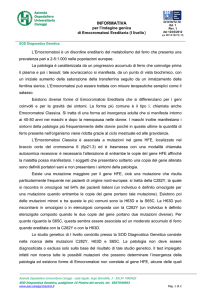 D_1416_72-18_Informativa_HH_I_livello-Rev 1