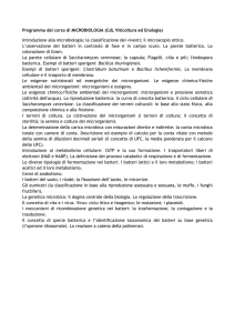 Programma del corso di MICROBIOLOGIA (CdL Viticoltura ed