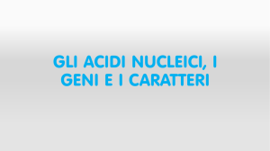 gli acidi nucleici, i geni e i caratteri