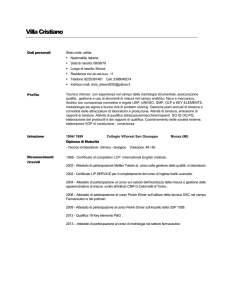 Curriculum vitae