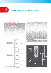 l`osservazione microscopica l