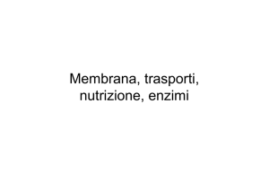 Membrana, trasporti, nutrizione, enzimi