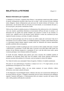 Informazioni - San Camillo