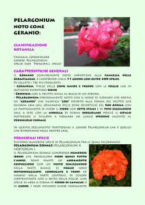 QUI - "L`Acero Rosso", Sacile