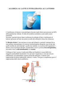 Scarica il documento allegato