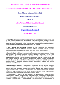 matricole pari