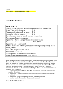 Ferro (Fe) solubile in acqua 2