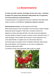 La disseminazione - Campus