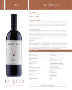 Scheda Montiano IT