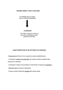 CARATTERISTICHE DI UN VETTORE DI CLONAGGIO