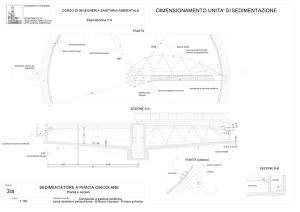 Allegato tecnico sedimentatore