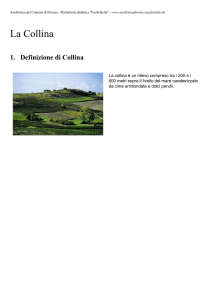 La Collina - CRED Ausilioteca Firenze