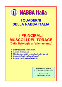 I muscoli del torace