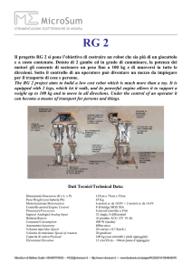 RG 2 - Meccanismo Complesso