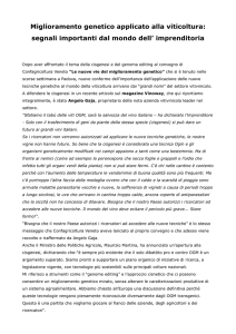 Miglioramento genetico applicato alla viticoltura: segnali importanti