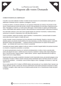 Le Risposte alle vostre Domande