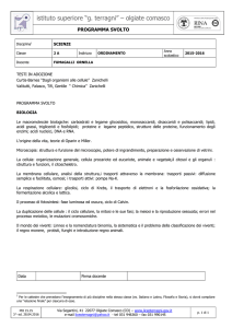 SCIENZE 2A - Liceo Terragni