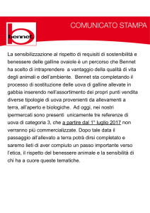 Uova da allevamenti a terra 5 Aprile 2017 La