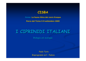 I Ciprinidi Italiani