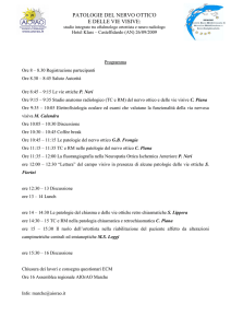 PATOLOGIE DEL NERVO OTTICO E DELLE VIE VISIVE: