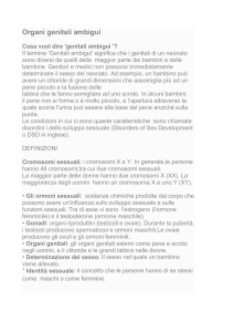 Organi genitali ambigui