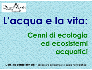 Ecosistemi acquatici