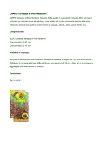 COMPO Corteccia di Pino Marittimo